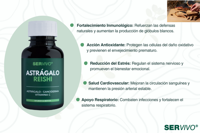 Astrágalo y Reishi: El Dúo Poderoso para una Vida Saludable y Larga