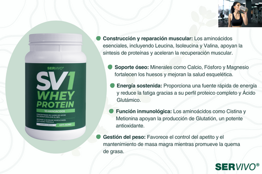 Descubre lo que Hace Única a Nuestra Whey Protein