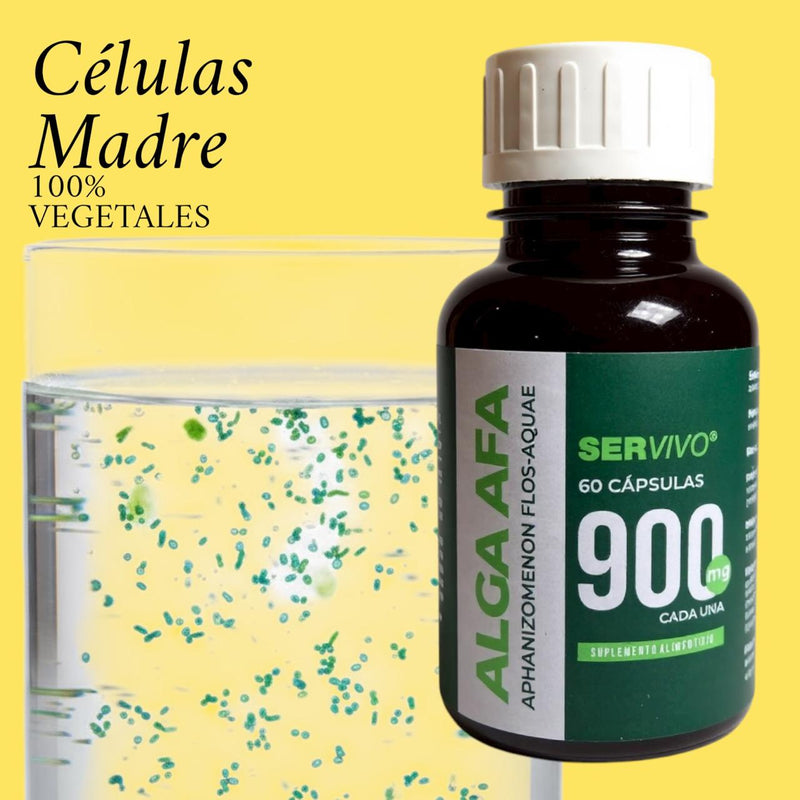 Alga AFA: Energía Natural y Bienestar Mental (60 cápsulas)