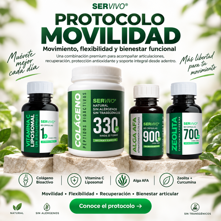 Movilidad