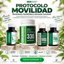 Protocolo Movilidad