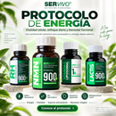Protocolo de Energía