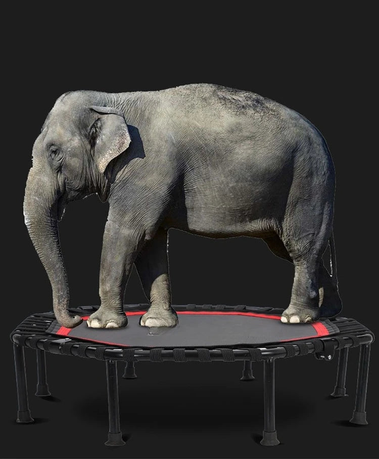 Nuevo Trampolín interior plegable, cuerda elástica para el hogar, deportes de fitness con pasamanos